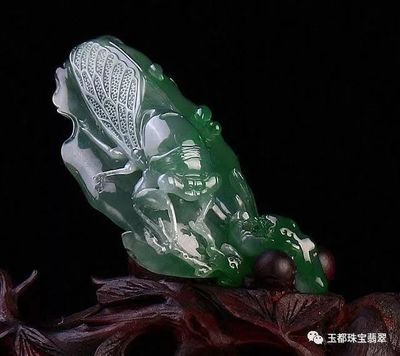 什么樣的翡翠才有收藏價值？